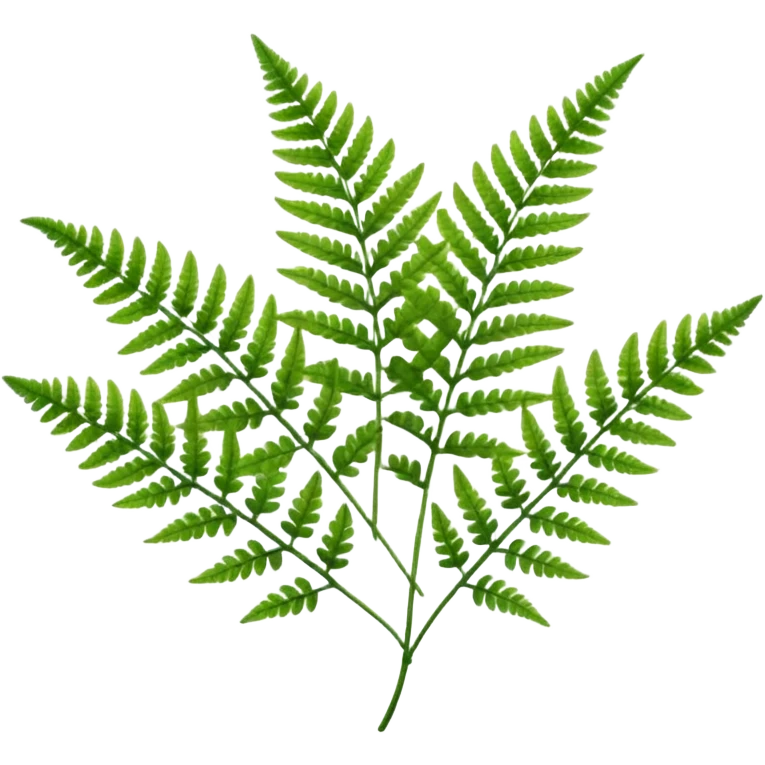 Fern emoji