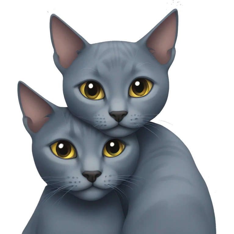 Two Russian Blue cats cuddle  emoji