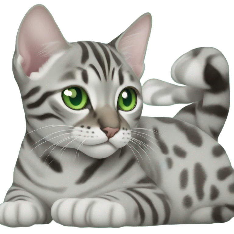 Grey bengal cat with green eyes in an ultrasound scan emoji