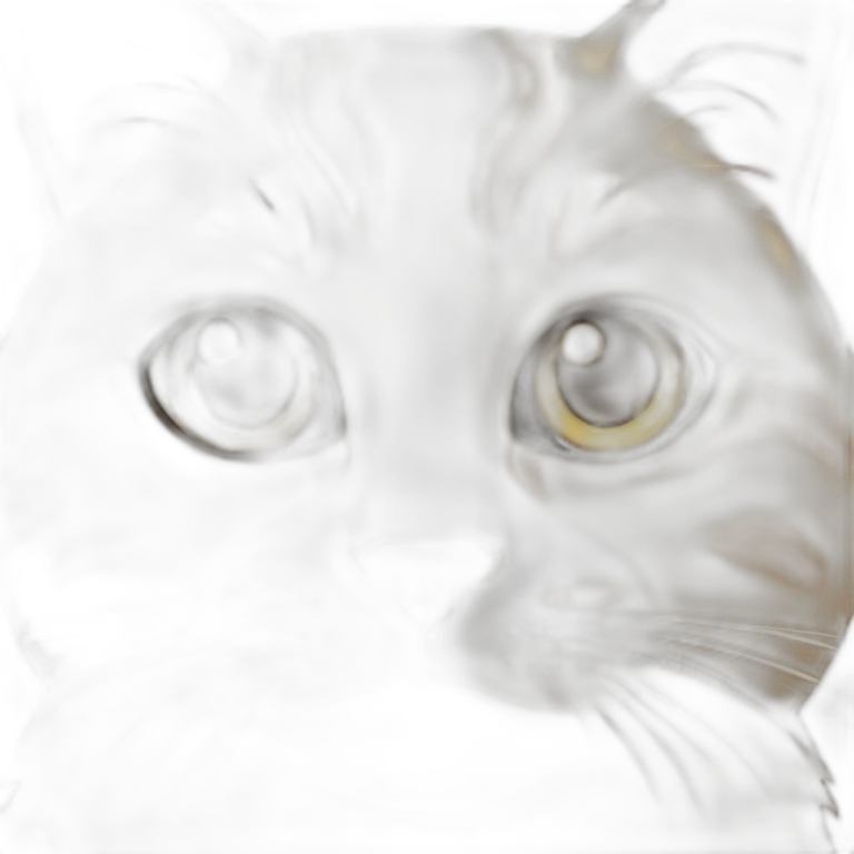 cat emoji