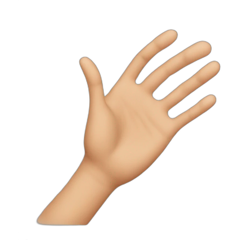 hand to hand emoji