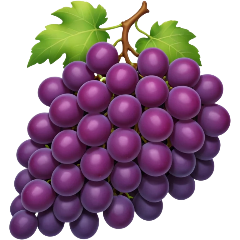 dark grapes emoji