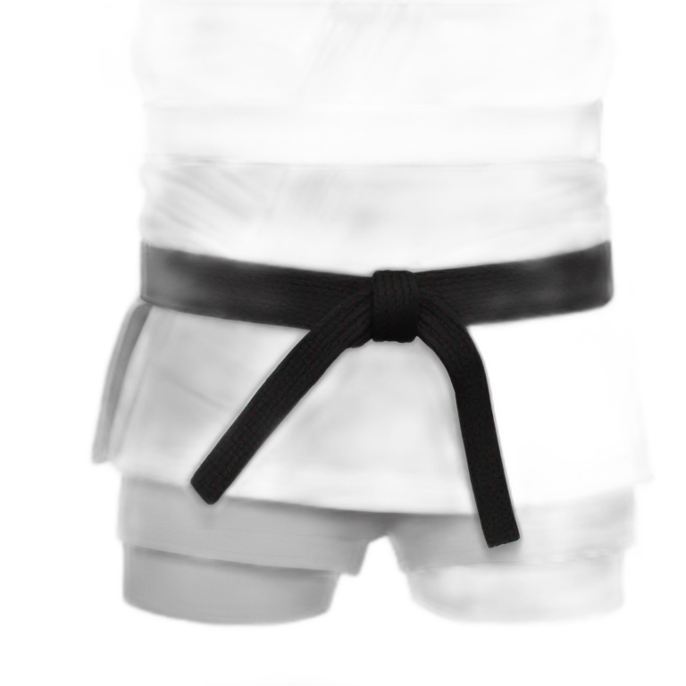 Judo belt emoji