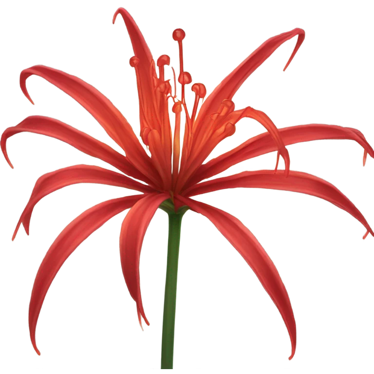 Glowing Red Spider Lily emoji