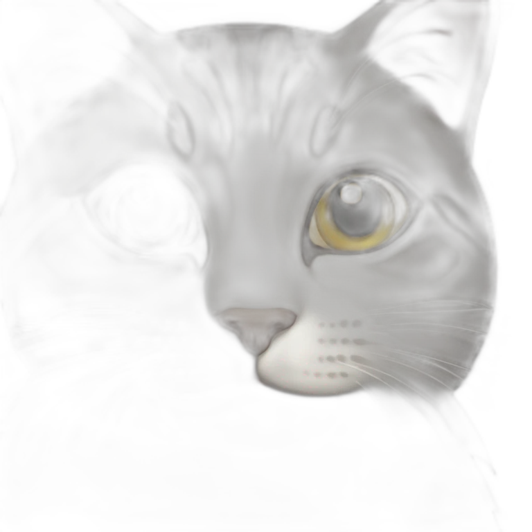 cat emoji