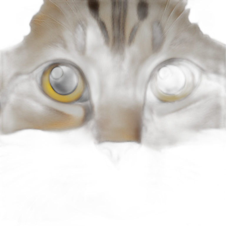 funny cat emoji