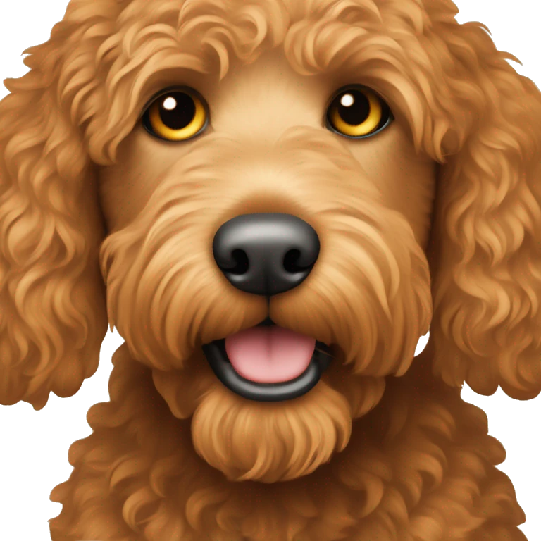ginger colored labradoodle  emoji