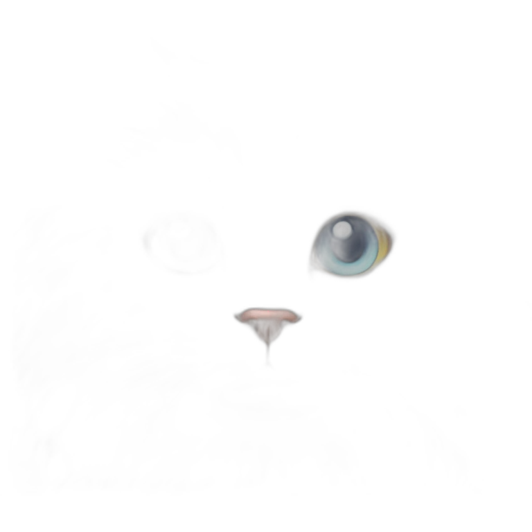 white fluffy cat with heterochromia emoji