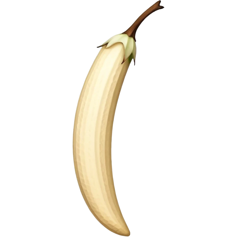 vanilla bean emoji