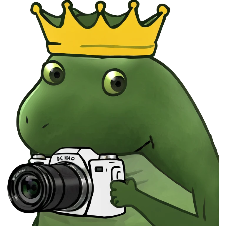 King with camera  emoji