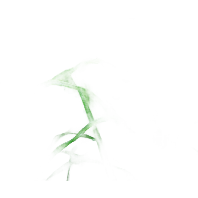 Touch grass emoji