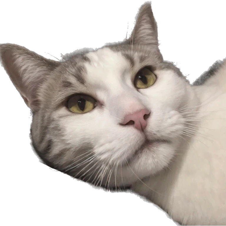 Cat  emoji