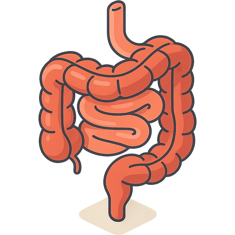 intestine, 2D isometric style, minimalist background, soft shadows and highlights, detailed, transparent background emoji