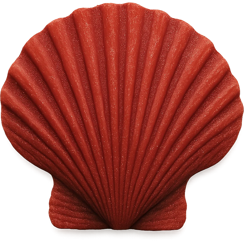 red seashell, remove background emoji