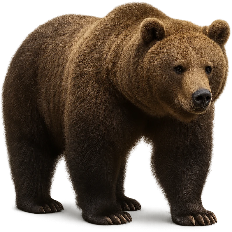Bear emoji