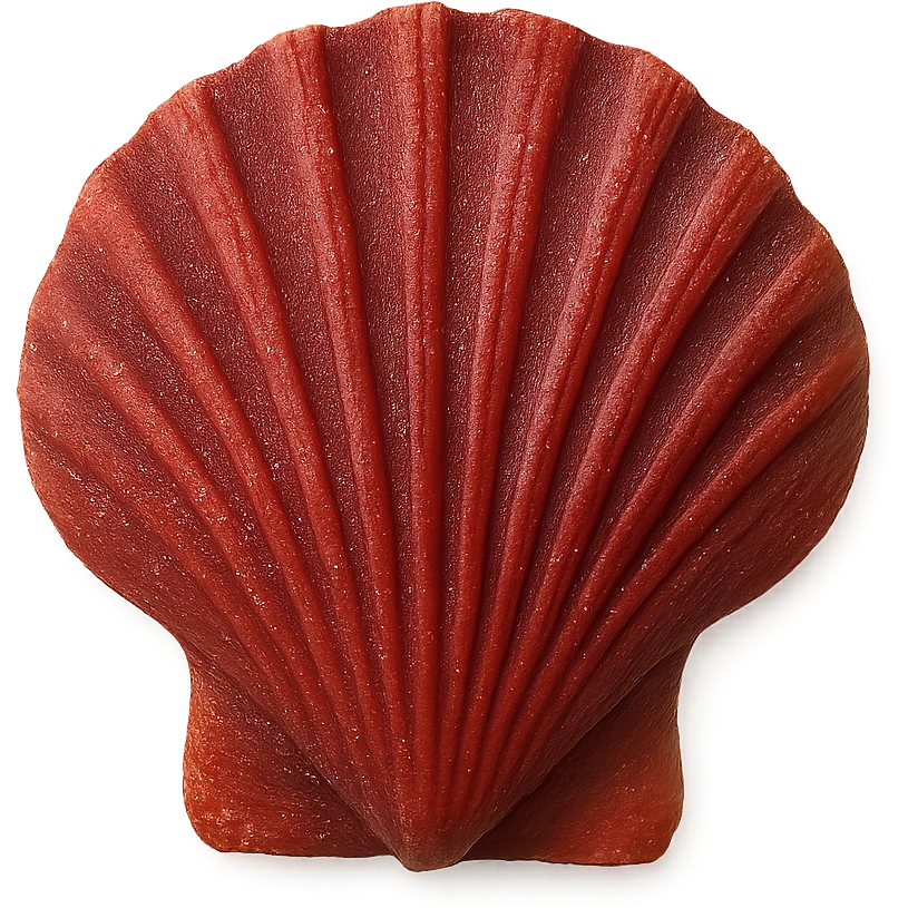 red seashell, remove background emoji