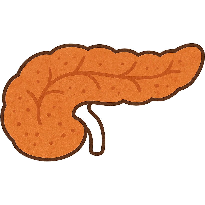 pancreas emoji
