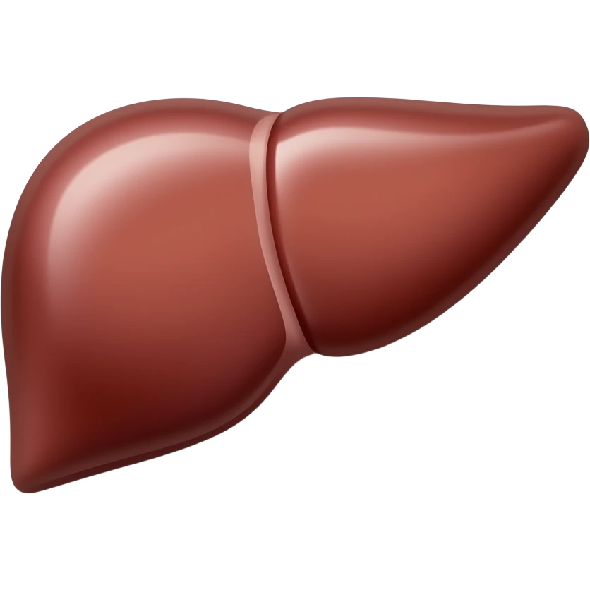 Liver in packet emoji