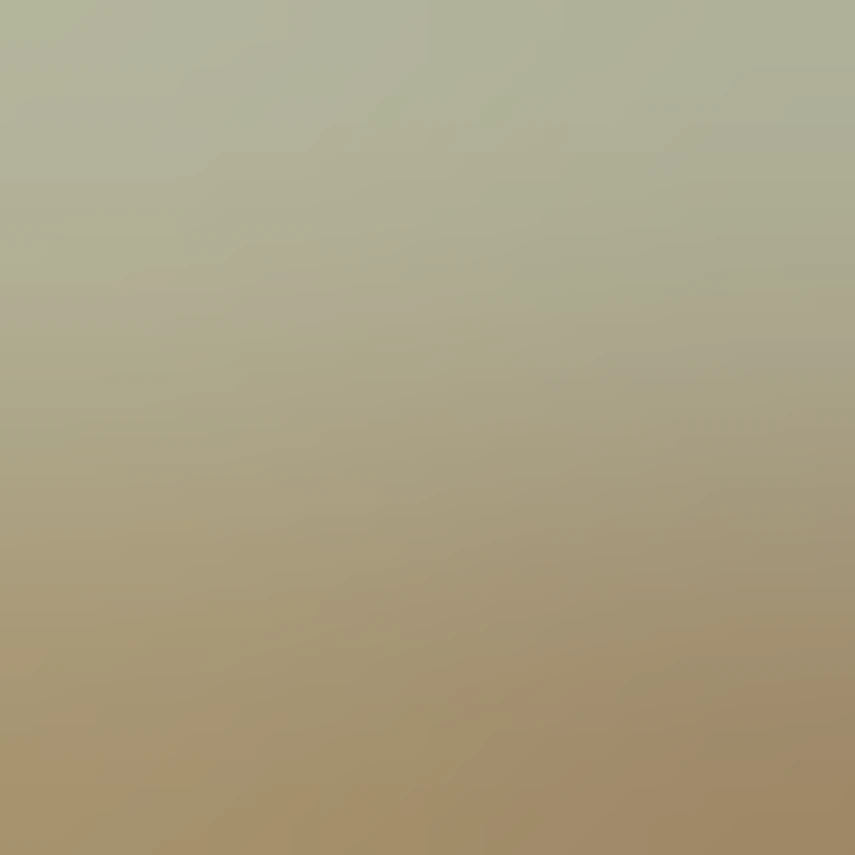3D emoji of a wooden tabletop display holding a cream coffee bar menu ...