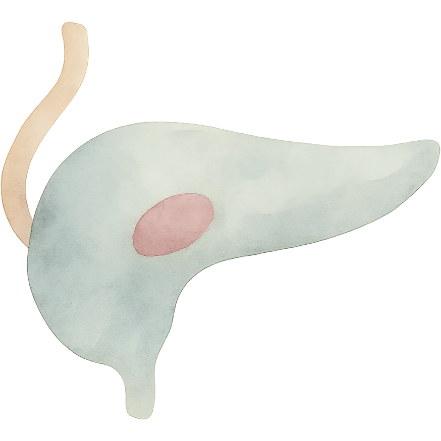 pancreas emoji