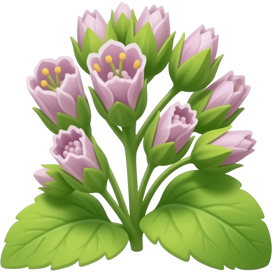 нарисуй thlaspi arvense emoji