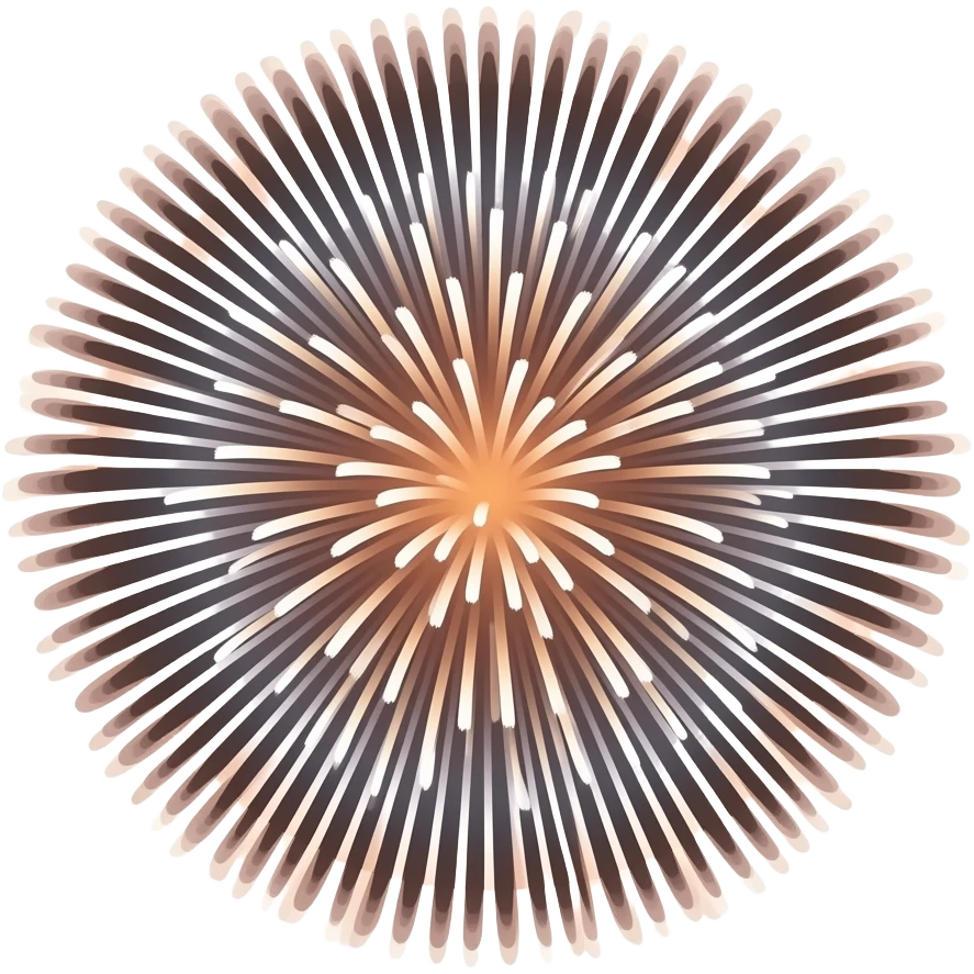 fireworks emoji
