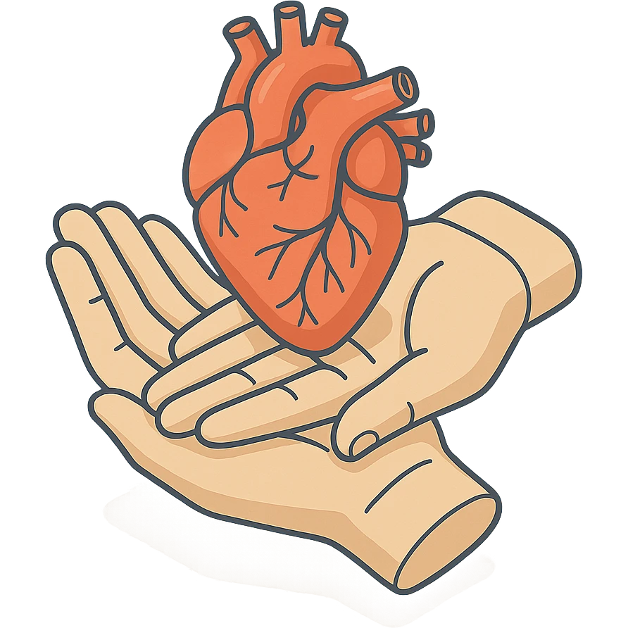 two palms holding an anatomical heart, 2D isometric style, very detailed drawing, detailed shadows and highlights, clean contours, soft lighting, transparent background emoji
