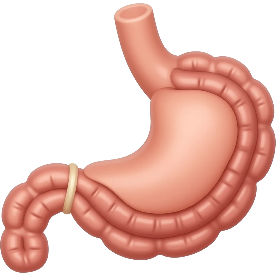 digestion system emoji