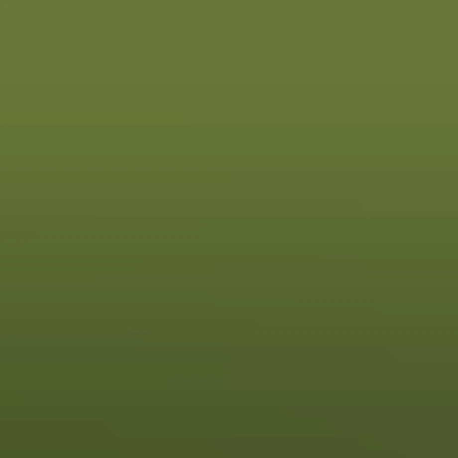 Jumping Frog back angle light green emoji | AI Emoji Generator
