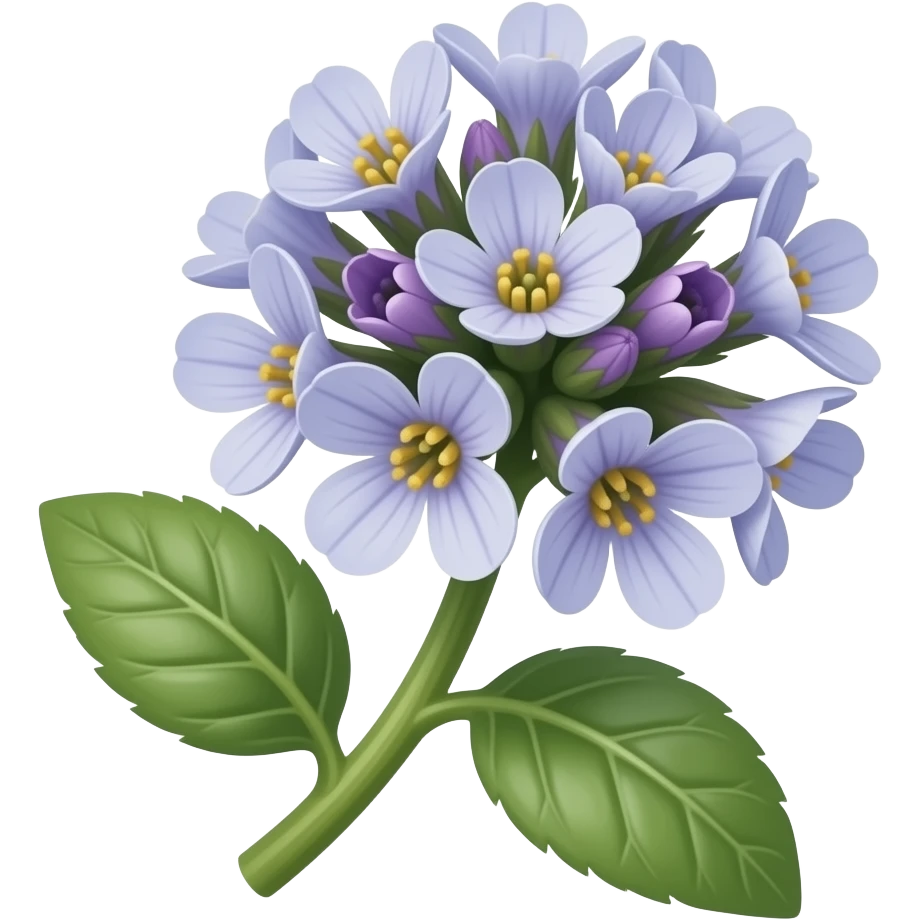 нарисуй thlaspi arvense emoji