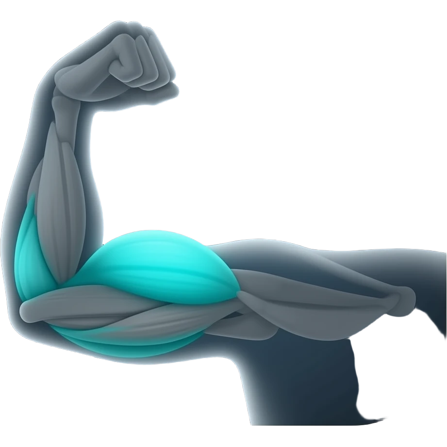 Minimal anatomical icon, dark background, left arm front view in dark grey with only biceps muscle is highlighted in glowing cyan-teal #00D4B1, flat shading, clean emoji