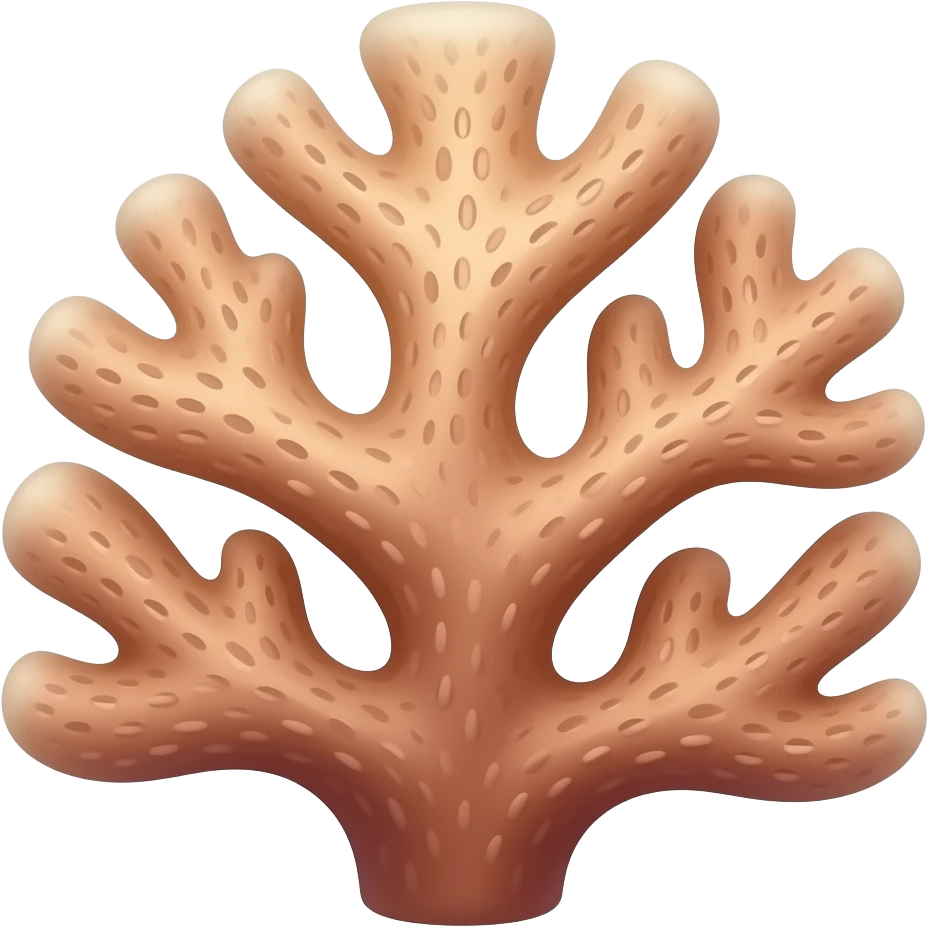 coral decoration emoji