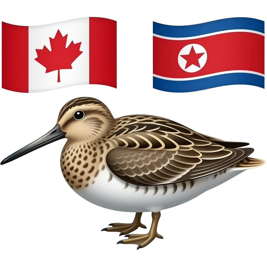 canada snipes north korea with the words "the marriage is intense" emoji