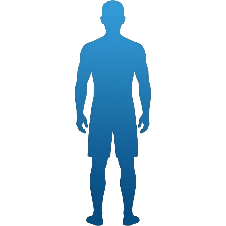 Siluete of person full body standing  we see his back one colour blue no background emoji