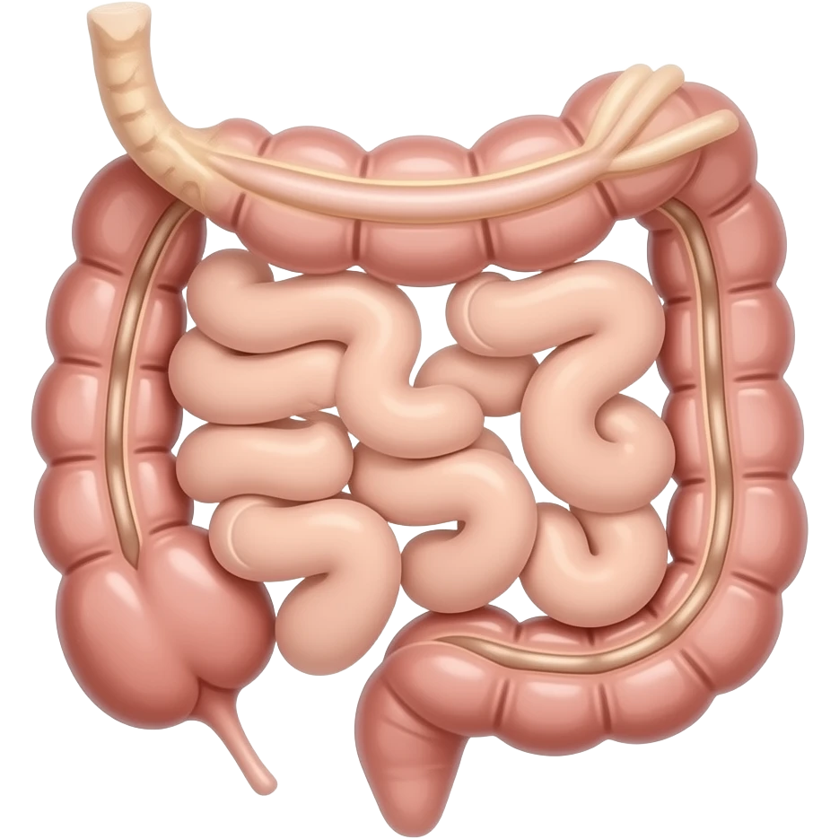 Excretory system emoji