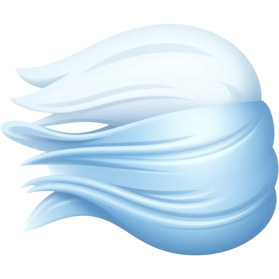 💨 emoji