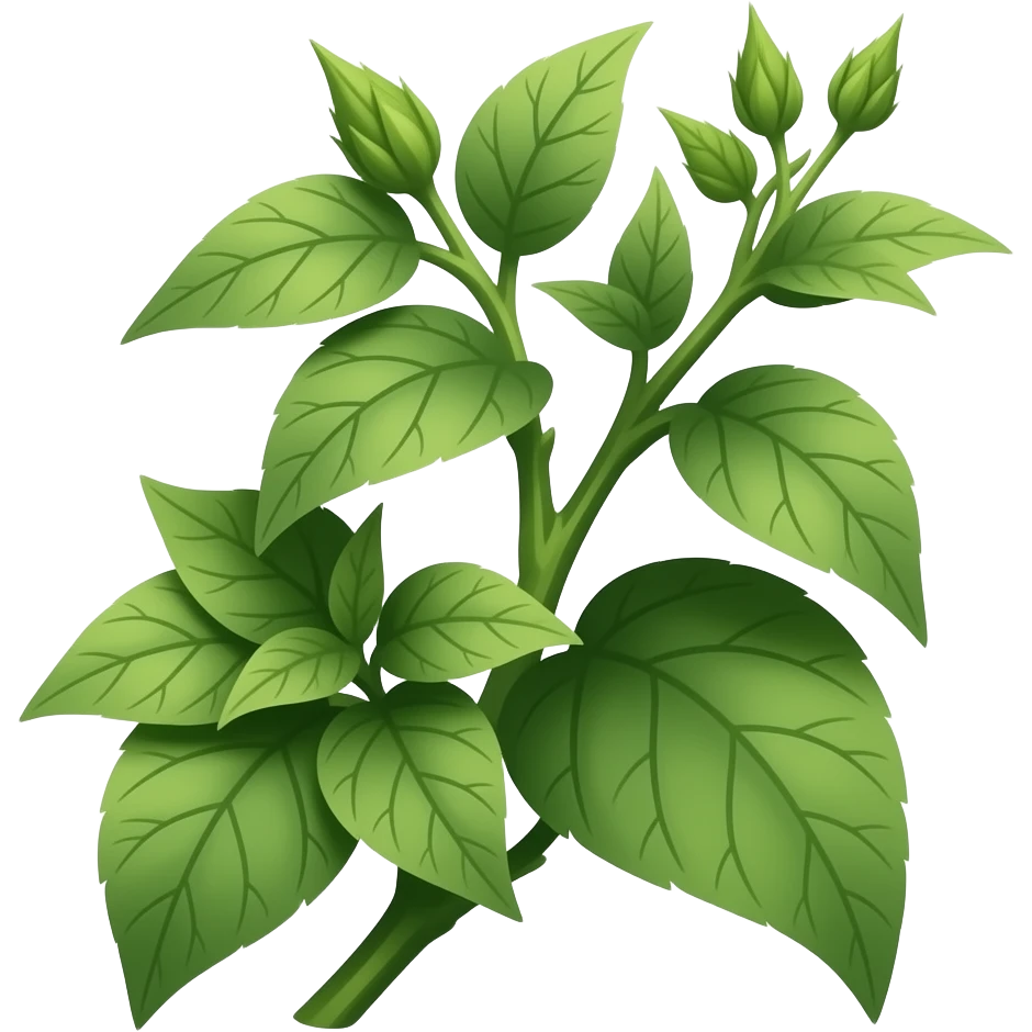 Nightshade emoji