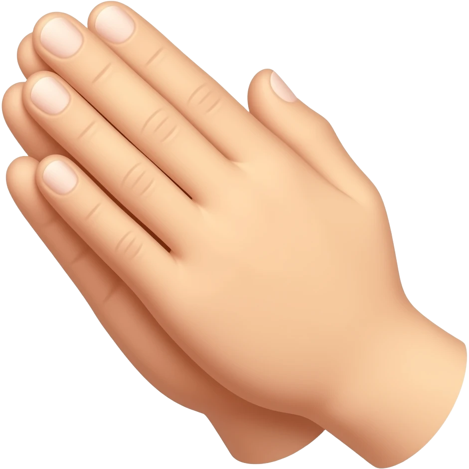 high quality🙏🏻 emoji