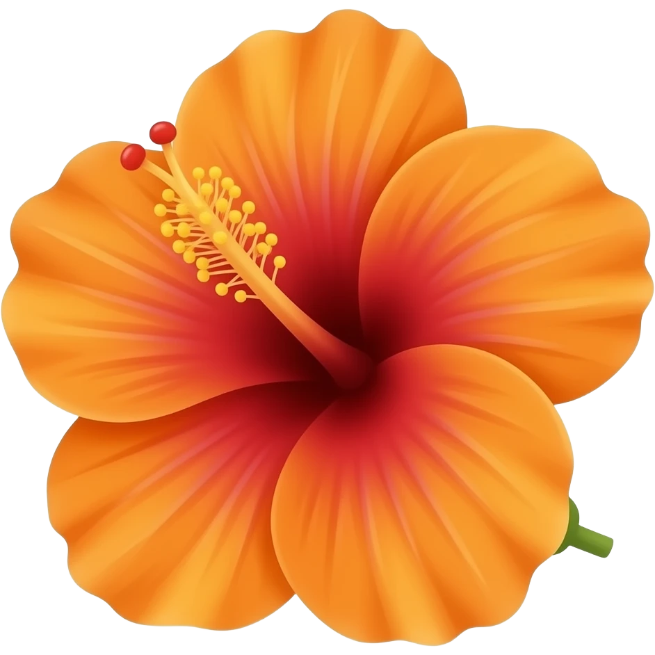 Orange hibiscus flower emoji