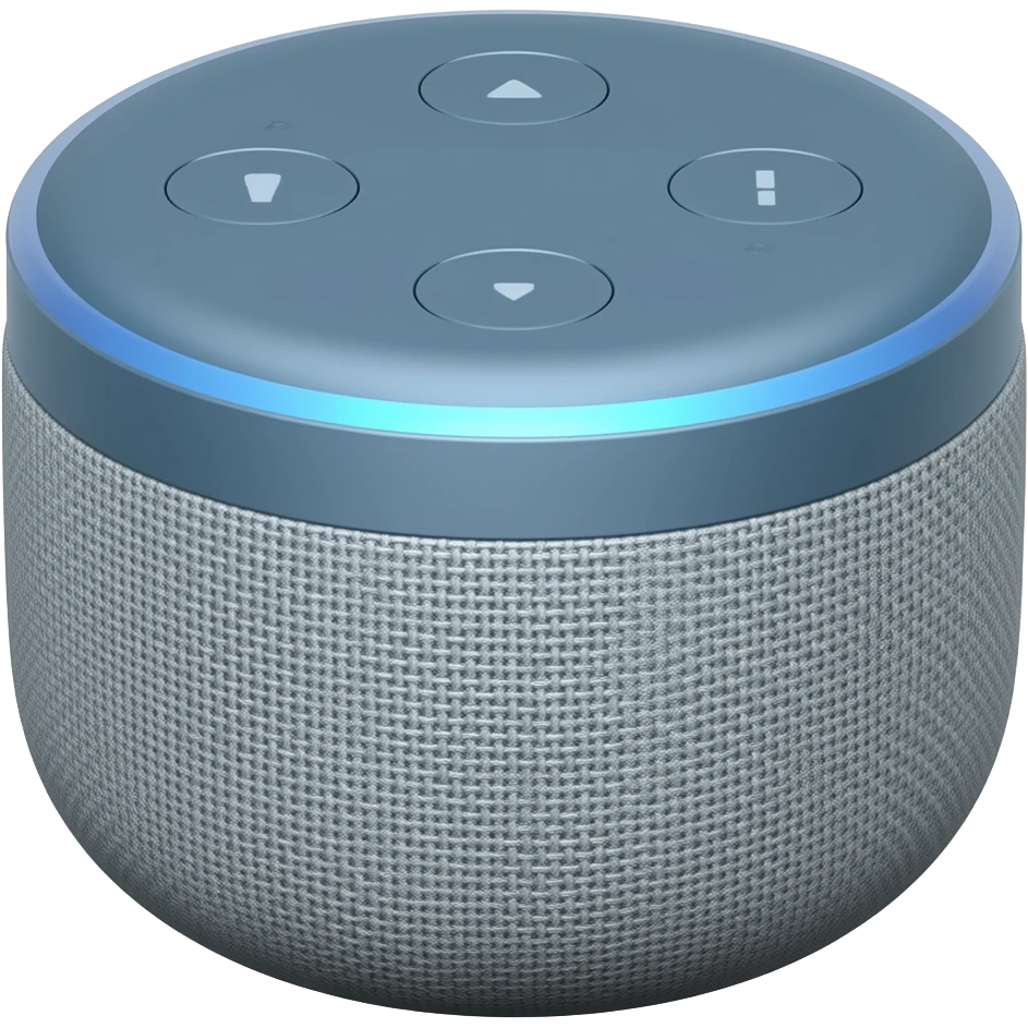 Echo show 5 emoji