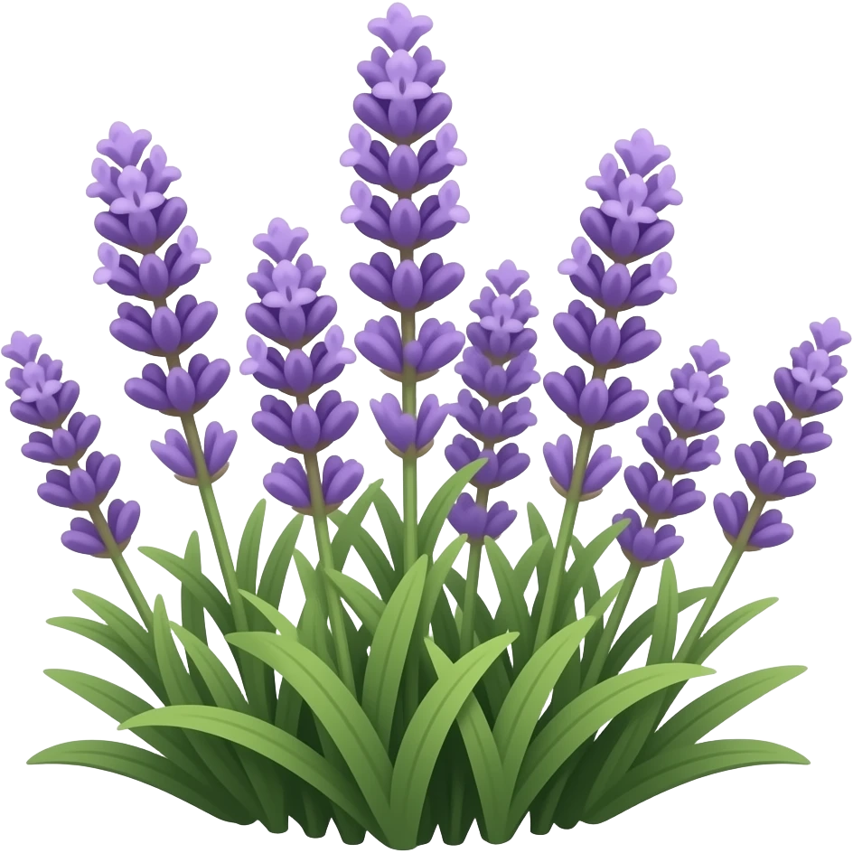 Lavender emoji