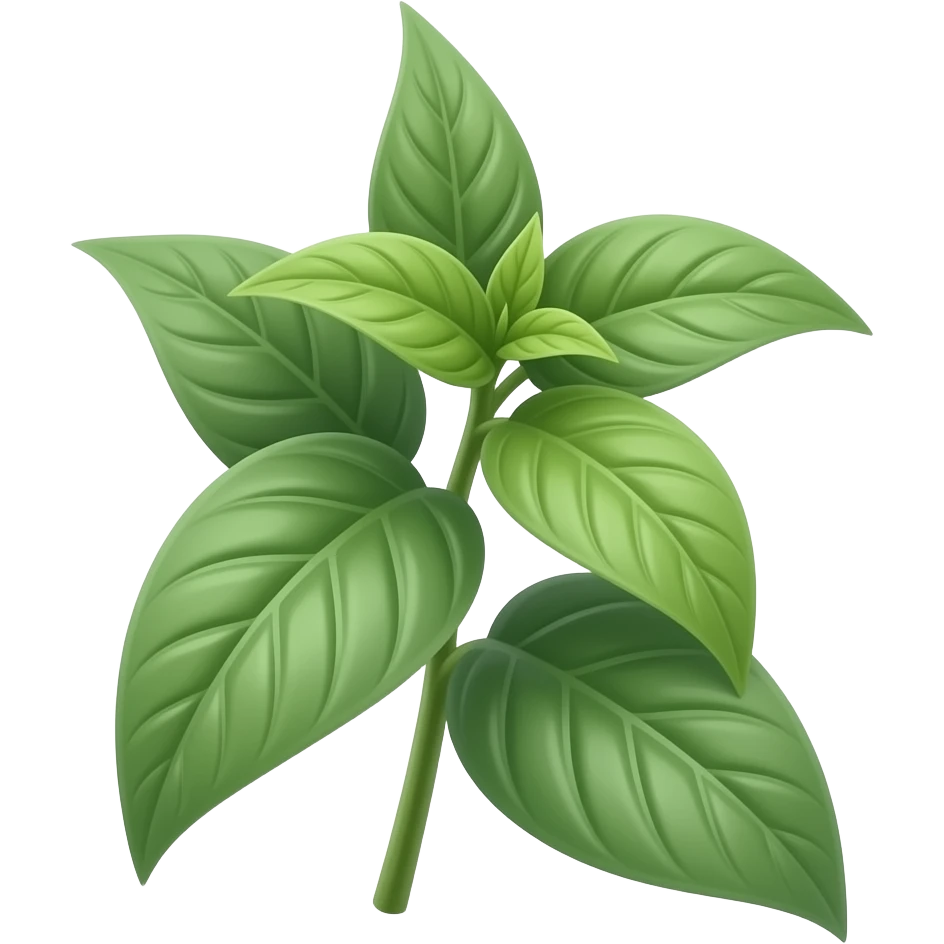 Cissus striata emoji