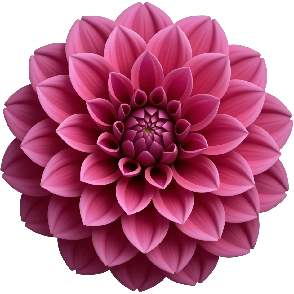 dahlia bouquet dark pink realistic emoji