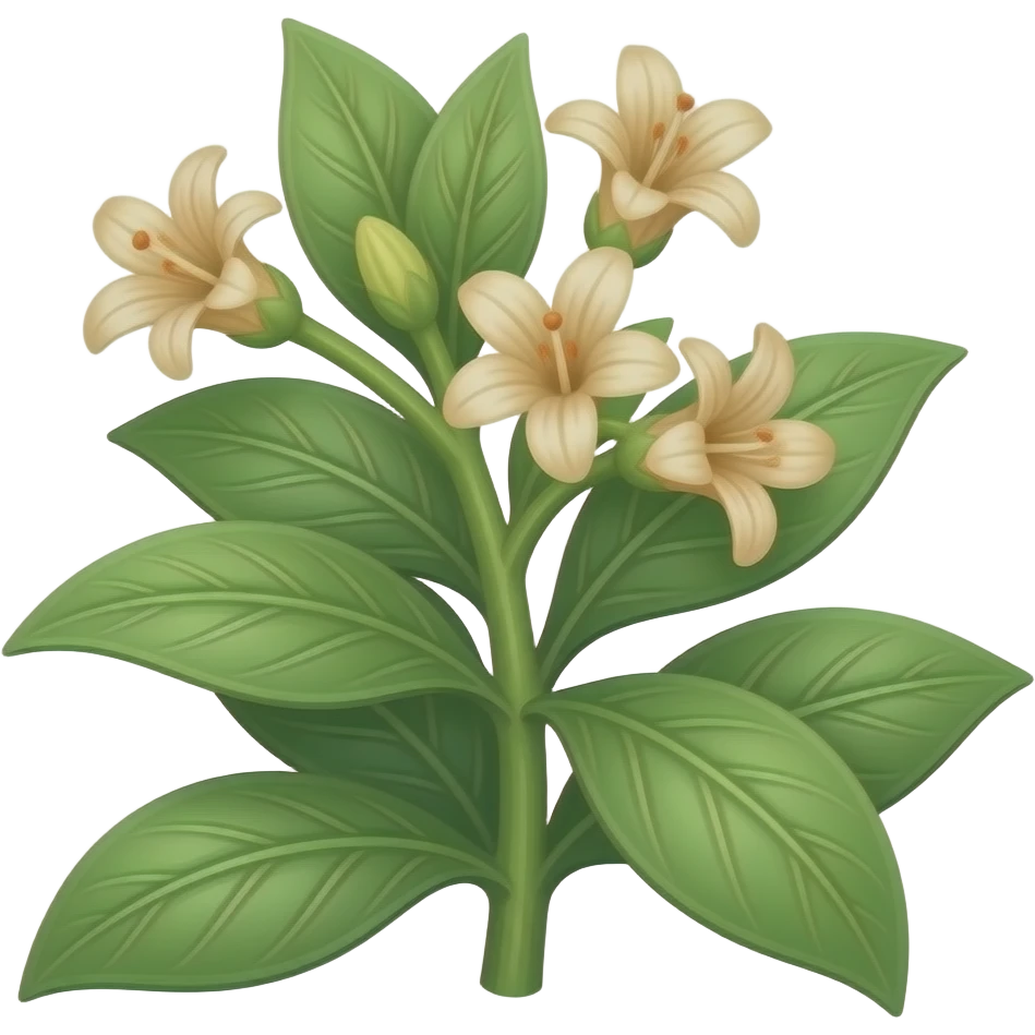 berberine plant emoji