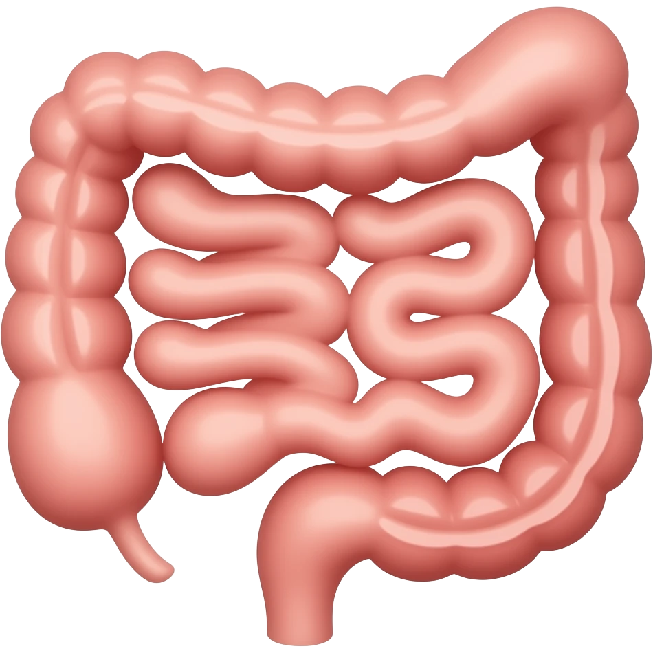 Small intestine emoji
