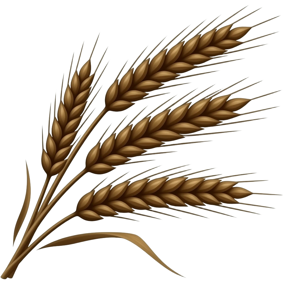 Dark brown realistic wheats 🌾🌾🌾 emoji
