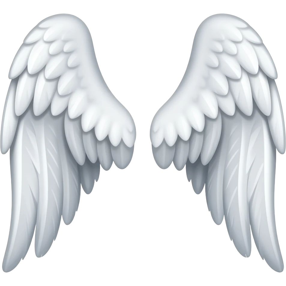 Wings both left and right emoji