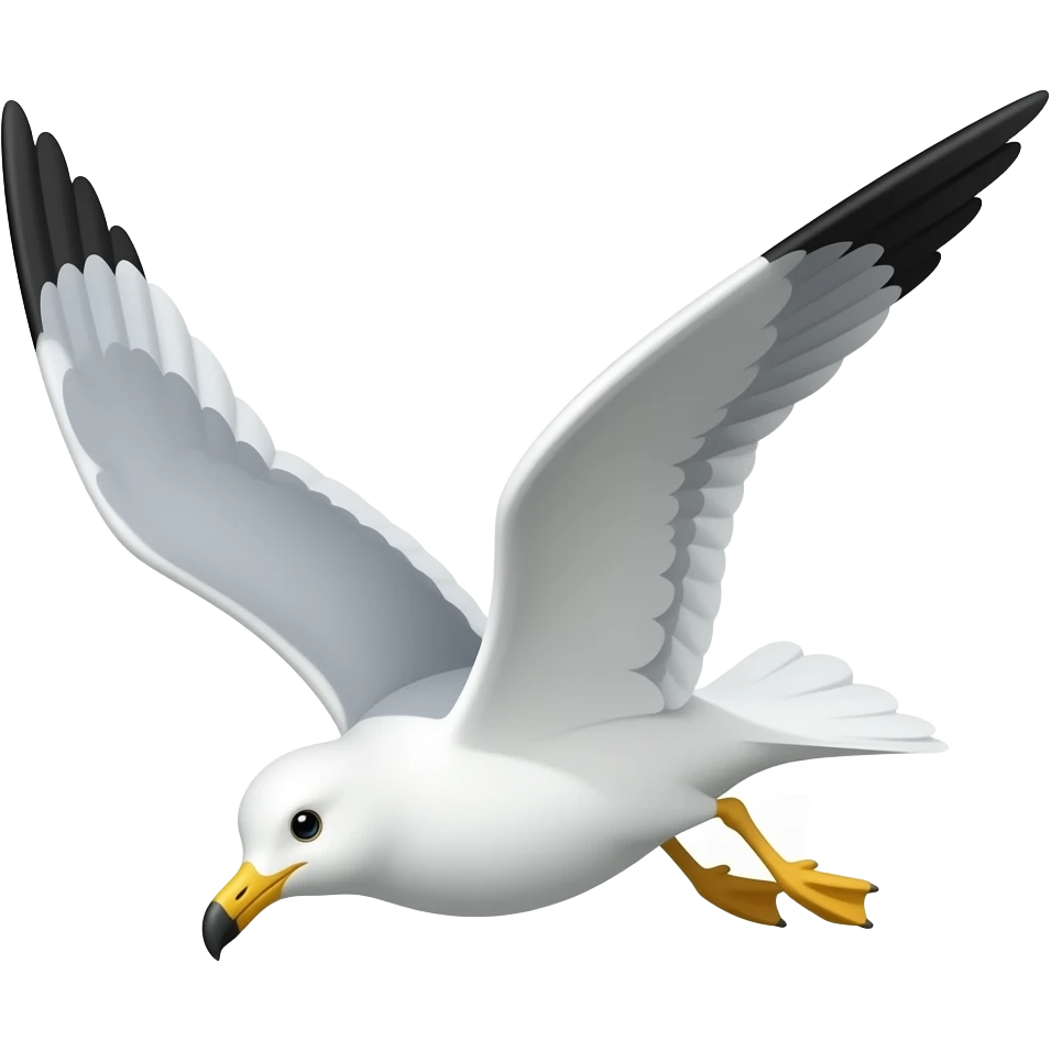 Seagull falling on the wall 🪶 emoji