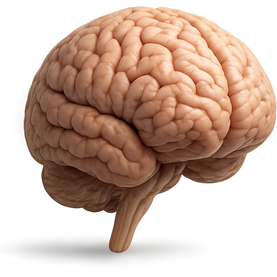 realistic blown up brain with dynamic details emoji