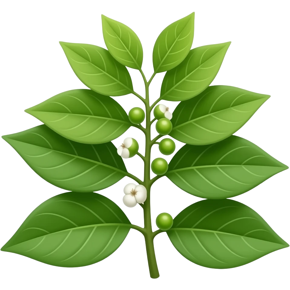 Guarana emoji